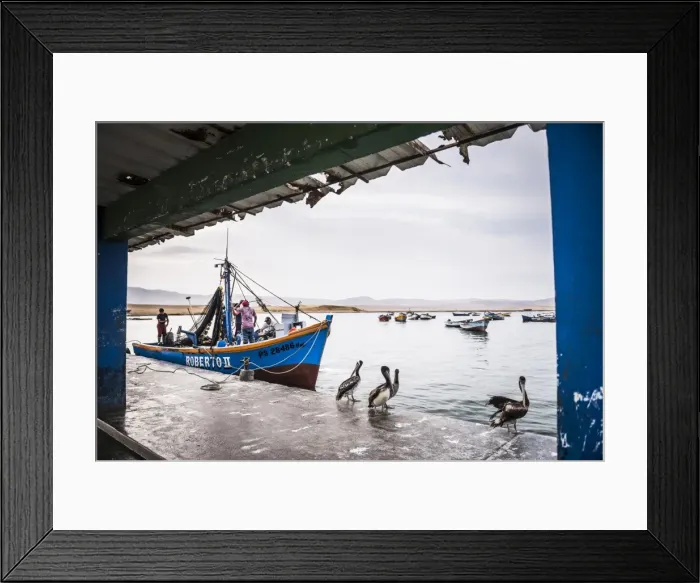 Framed Print : Fishing boat at fishing harbour in Paracas National Reserve (Reserva Nacional de Paracas) Framed Print : Fishing boat at fishing harbour in Paracas National Reserve (Reserva Nacional de Paracas)