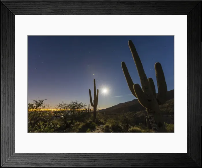 Framed Print : Giant saguaro cactus (Carnegiea gigantea), under full moon in the Catalina Mountains