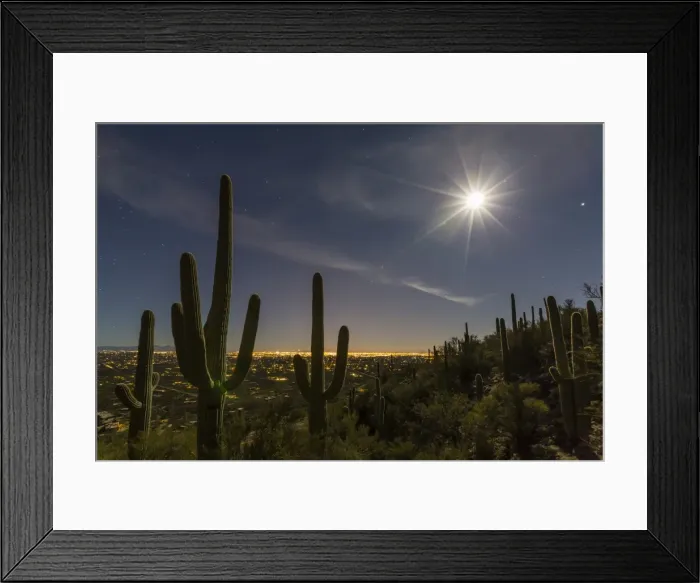 Framed Print : Giant saguaro cactus (Carnegiea gigantea), under full moon in the Catalina Mountains Framed Print : Giant saguaro cactus (Carnegiea gigantea), under full moon in the Catalina Mountains