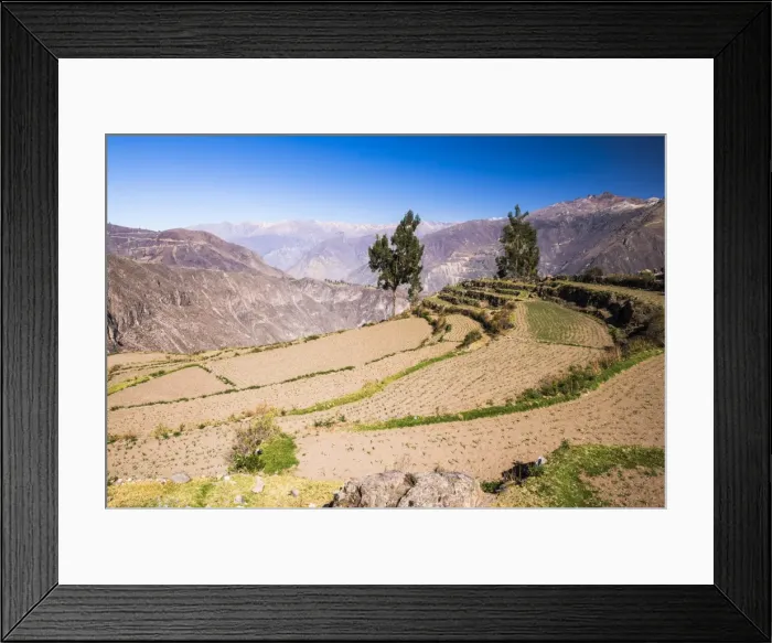 Framed Print : Colca Canyon pre-Inca terraces and farmland at Cabanaconde, Peru, South America Framed Print : Colca Canyon pre-Inca terraces and farmland at Cabanaconde, Peru, South America