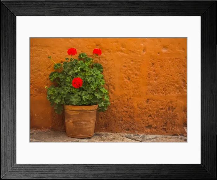 Framed Print : Flowers, Santa Catalina Monastery (Convento de Santa Catalina) (St Framed Print : Flowers, Santa Catalina Monastery (Convento de Santa Catalina) (St