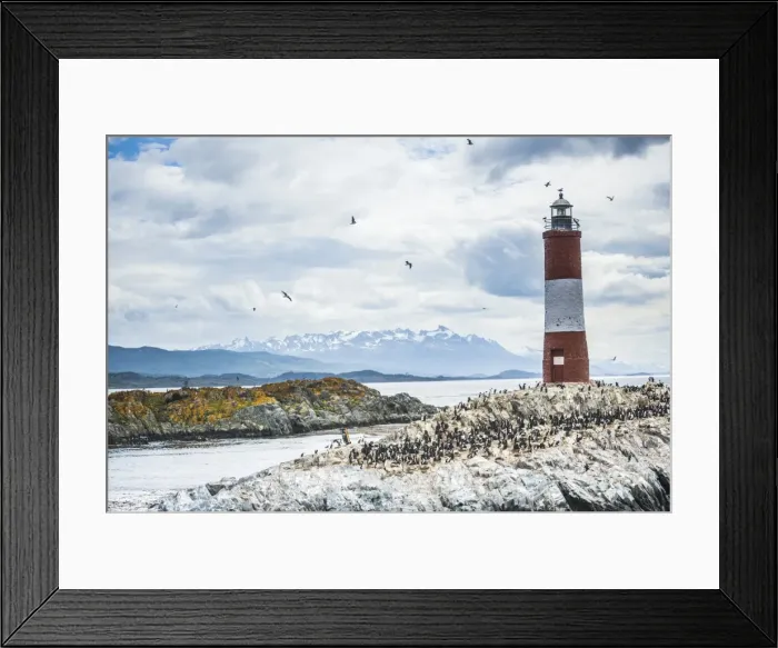 Framed Print : Les Eclaireurs Lighthouse and cormorant colony on an island in the Beagle Channel Framed Print : Les Eclaireurs Lighthouse and cormorant colony on an island in the Beagle Channel