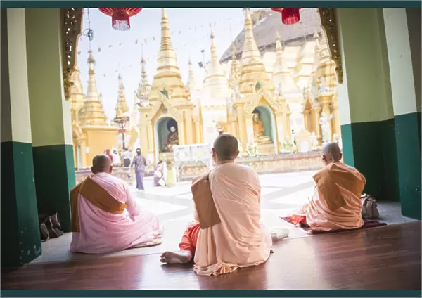 Buddhist Nuns praying at Shwedagon Pagoda (Shwedagon Zedi Daw) (Golden Pagoda), Yangon (Rangoon)