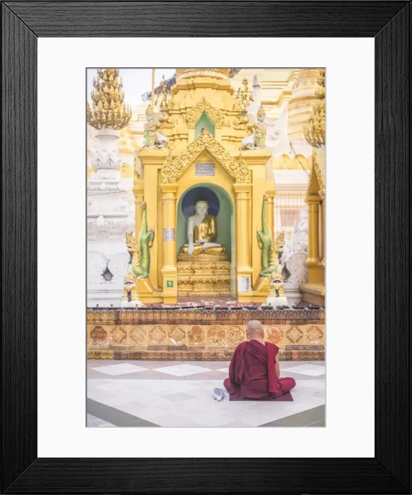 Framed Print : Buddhist monk praying at Shwedagon Pagoda (Shwedagon Zedi Daw) (Golden Pagoda), Yangon (Rangoon)