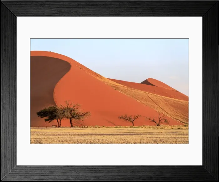 Framed Print : Dune 45 the star dune composed of 5 million year old sand, Sossusvlei, Namib Desert