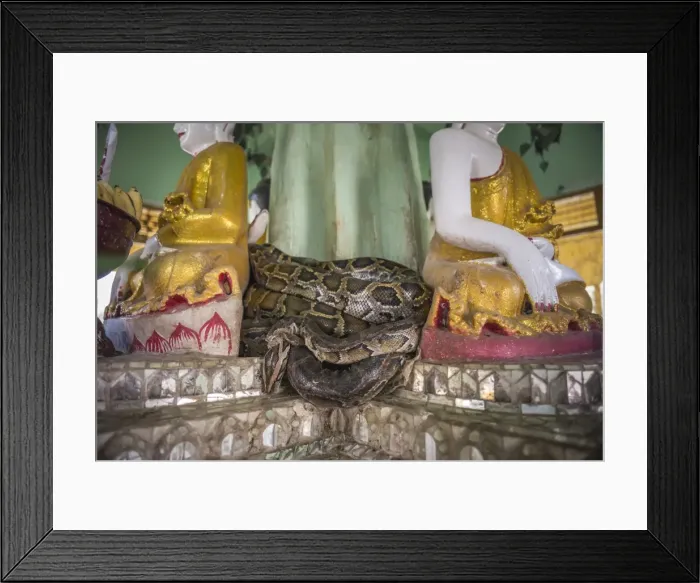 Framed Print : Snake Temple (Mwe Paya) between Dalah and Twante, across the river from Yangon, Myanmar (Burma) Framed Print : Snake Temple (Mwe Paya) between Dalah and Twante, across the river from Yangon, Myanmar (Burma)