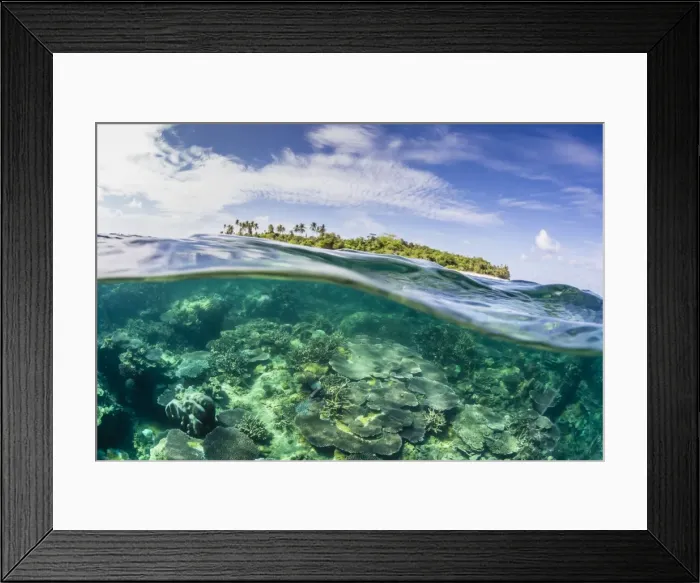 Framed Print : Half above and half below on a remote small Islet in the Badas Island Group off Borneo Framed Print : Half above and half below on a remote small Islet in the Badas Island Group off Borneo