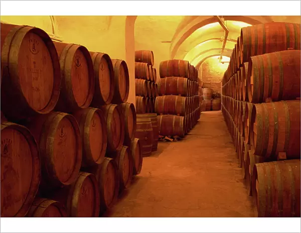 Barrels in wine cellar