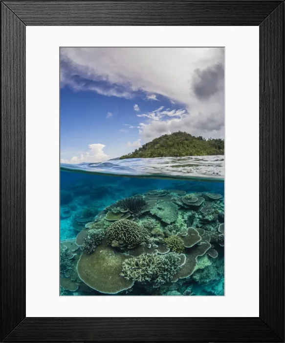 Framed Print : Half above and half below view of coral reef at Pulau Setaih Island, Natuna Archipelago Framed Print : Half above and half below view of coral reef at Pulau Setaih Island, Natuna Archipelago