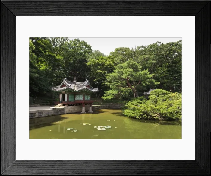 Framed Print : Huwon, The Secret Garden, pavilions around a square lily pond, Changdeokgung Palace in summer Framed Print : Huwon, The Secret Garden, pavilions around a square lily pond, Changdeokgung Palace in summer