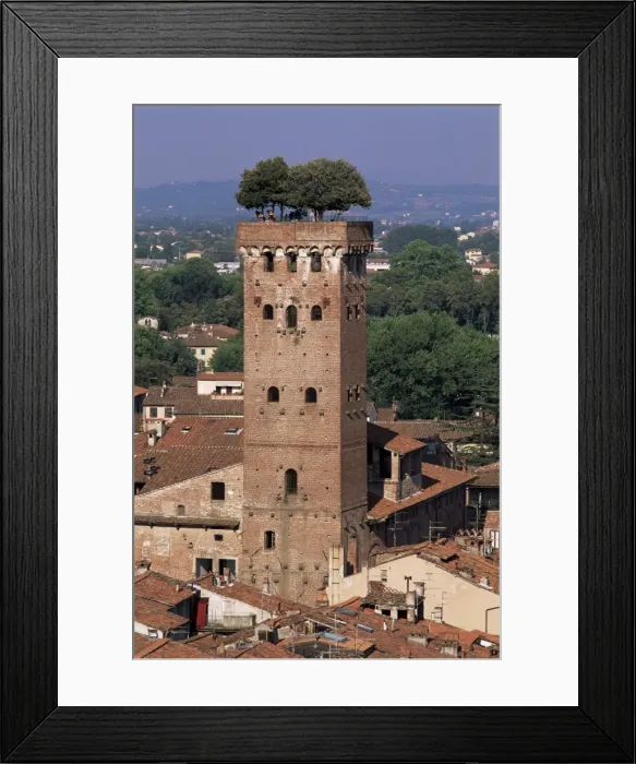 Framed Print : Tour des Guinigi Framed Print : Tour des Guinigi