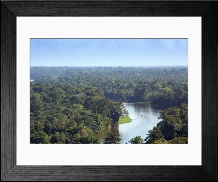 Framed Print : View of rainforest and rivers in Tortuguero National Park, Limon, Costa Rica, Central Framed Print : View of rainforest and rivers in Tortuguero National Park, Limon, Costa Rica, Central