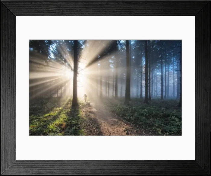 Framed Print : Fan of light rays and trail in a misty forest, Baden-Wurttemberg, Germany, Europe Framed Print : Fan of light rays and trail in a misty forest, Baden-Wurttemberg, Germany, Europe