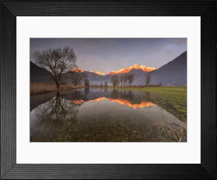 Framed Print : Natural reserve of Pian di Spagna flooded with snowy peaks reflected in the water at sunset Framed Print : Natural reserve of Pian di Spagna flooded with snowy peaks reflected in the water at sunset