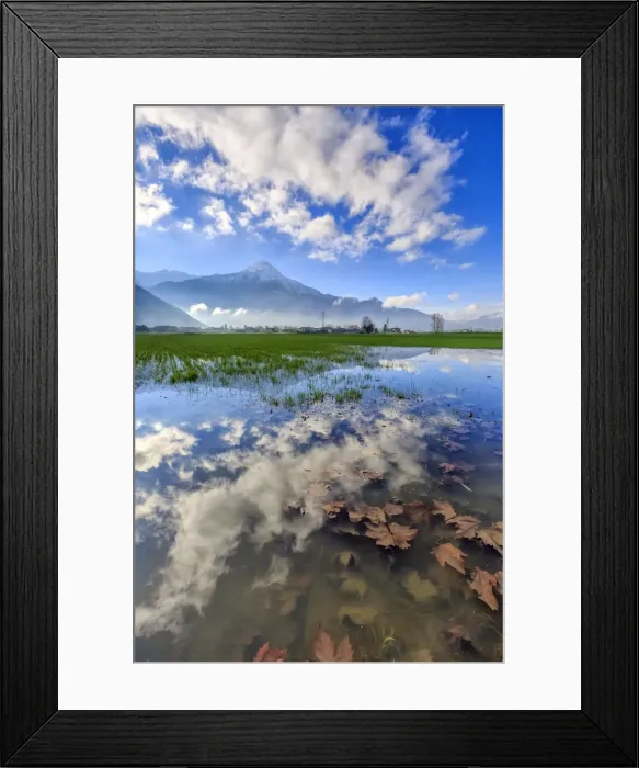 Framed Print : The natural reserve of Pian di Spagna flooded with Mount Legnone reflected in the water Framed Print : The natural reserve of Pian di Spagna flooded with Mount Legnone reflected in the water