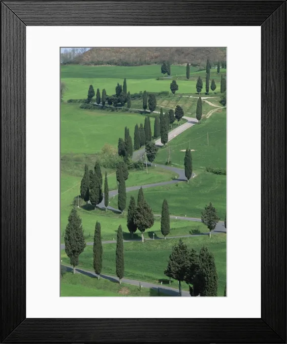Framed Print : Val d Orcia Framed Print : Val d Orcia