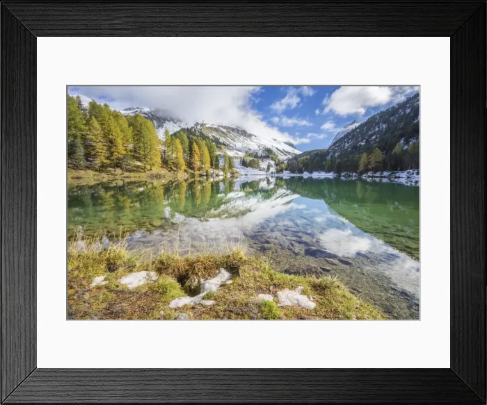 Framed Print : Colorful trees and snowy peaks reflected in Lai da Palpuogna, Albula Pass, Engadine Framed Print : Colorful trees and snowy peaks reflected in Lai da Palpuogna, Albula Pass, Engadine