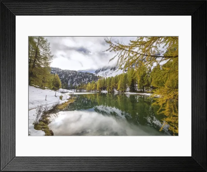Framed Print : Colorful trees and snowy woods reflected in Lai da Palpuogna, Albula Pass, Engadine Framed Print : Colorful trees and snowy woods reflected in Lai da Palpuogna, Albula Pass, Engadine