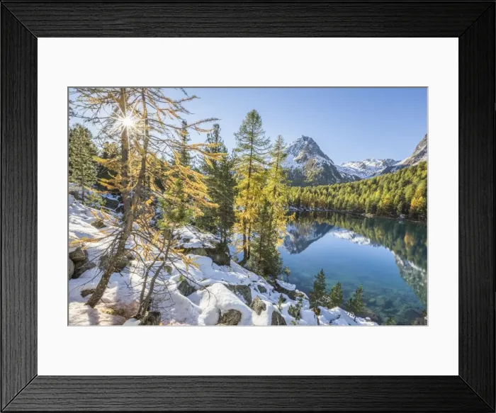 Framed Print : Colorful woods and snowy peaks reflected in Lake Saoseo, Poschiavo Valley, Canton of Grauunden Framed Print : Colorful woods and snowy peaks reflected in Lake Saoseo, Poschiavo Valley, Canton of Grauunden