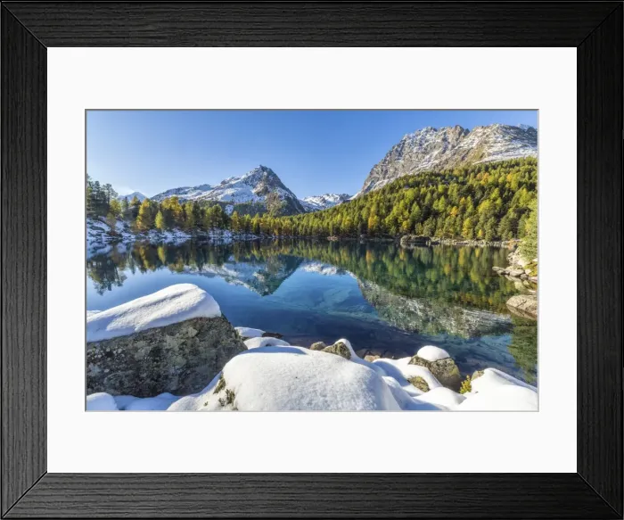 Framed Print : Colorful woods and snowy peaks reflected in Lake Saoseo, Poschiavo Valley, Canton of Graubunden Framed Print : Colorful woods and snowy peaks reflected in Lake Saoseo, Poschiavo Valley, Canton of Graubunden