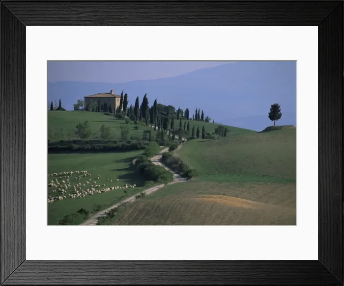 Framed Print : House and cypress trees Framed Print : House and cypress trees