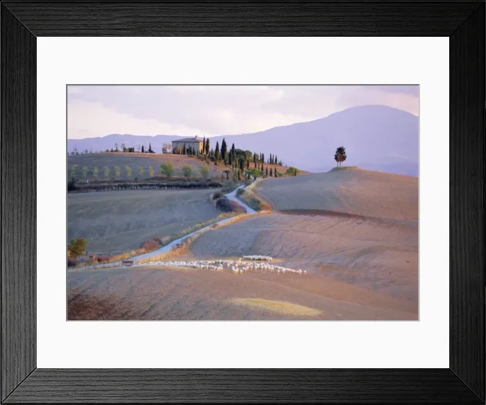 Framed Print : Landscape near Pienza Framed Print : Landscape near Pienza
