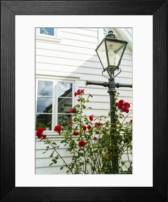 Framed Print : Old Stavanger (Gamle Stavanger) comprising about 250 buildings dating from early 18th century Framed Print : Old Stavanger (Gamle Stavanger) comprising about 250 buildings dating from early 18th century