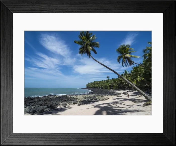 Framed Print : Palm tree on a white sand beach on Saint Joseph Island, Iles du Salut, French Guiana Framed Print : Palm tree on a white sand beach on Saint Joseph Island, Iles du Salut, French Guiana