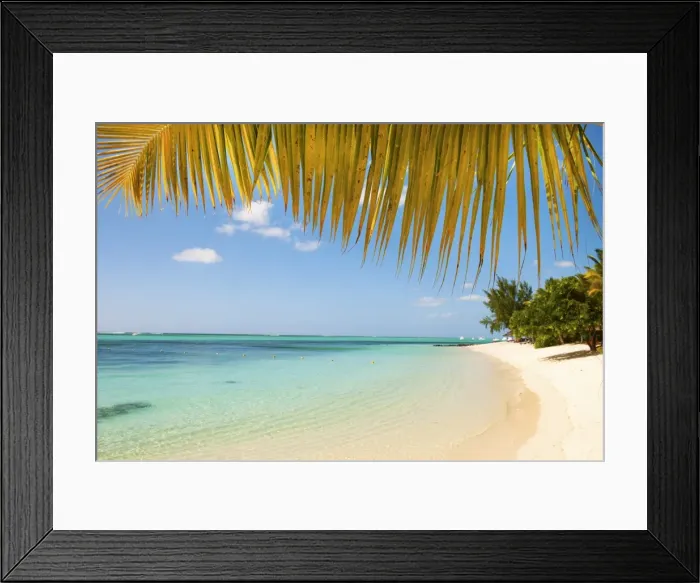 Framed Print : Turquoise sea and white palm fringed beach, Le Morne, Black River, Mauritius, Indian Ocean