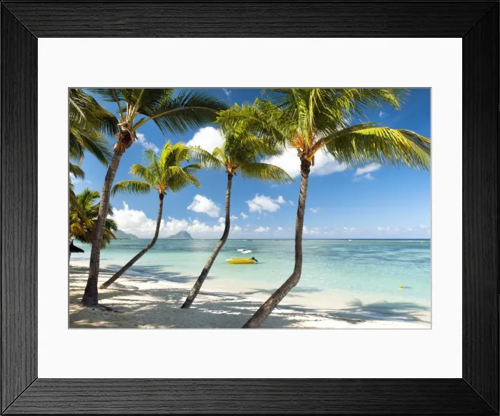 Framed Print : Turquoise sea and white palm fringed beach at Wolmar, Black River, Mauritius, Indian Ocean Framed Print : Turquoise sea and white palm fringed beach at Wolmar, Black River, Mauritius, Indian Ocean
