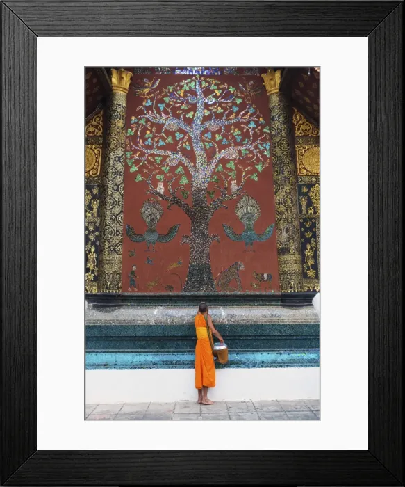 Framed Print : Monk making a blessing after morning alms, at Xieng Thong Monastery, UNESCO World Heritage Site Framed Print : Monk making a blessing after morning alms, at Xieng Thong Monastery, UNESCO World Heritage Site