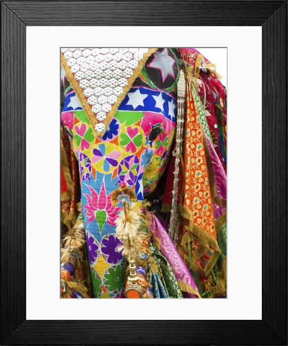 Framed Print : Colorful elephants at the Jaipur elephant festival, Jaipur, Rajasthan, India, Asia Framed Print : Colorful elephants at the Jaipur elephant festival, Jaipur, Rajasthan, India, Asia