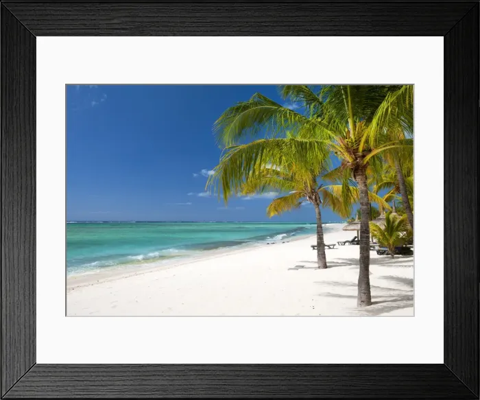 Framed Print : Turquoise sea and white palm fringed beach, Le Morne, Black River, Mauritius, Indian Ocean Framed Print : Turquoise sea and white palm fringed beach, Le Morne, Black River, Mauritius, Indian Ocean