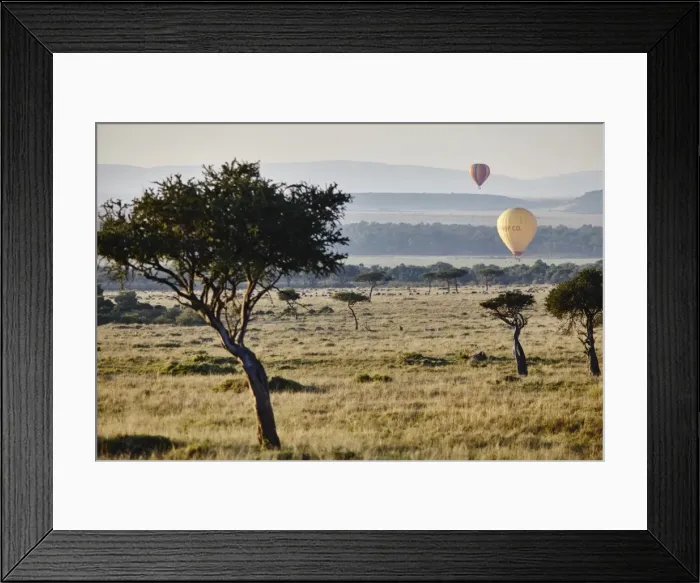 Framed Print : Hot air ballons lifting up in the sunrise light in the Msai Mara, Kenya, East Africa Framed Print : Hot air ballons lifting up in the sunrise light in the Msai Mara, Kenya, East Africa