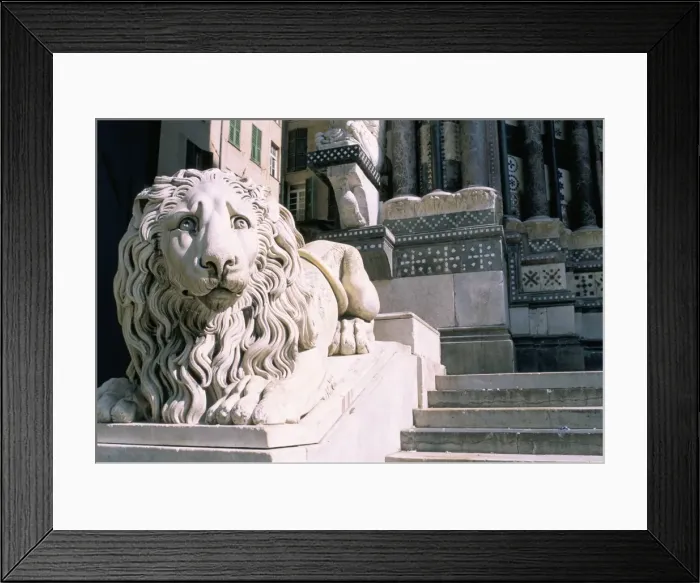Framed Print : Lion, San Lorenzo Cathedral Framed Print : Lion, San Lorenzo Cathedral