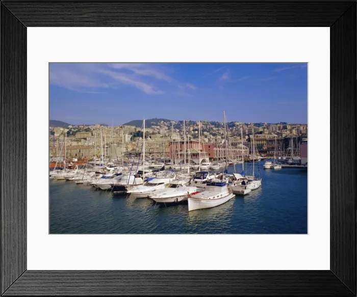 Framed Print : View of the old port Framed Print : View of the old port