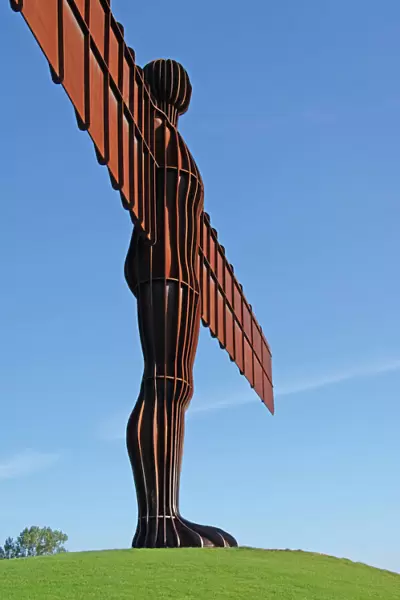 Angel of the North, by Antony Gormley, Gateshead, Tyne and Wear, England, United Kingdom
