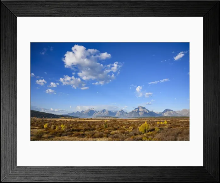 Framed Print : Willow Flats and Teton Range, Grand Tetons National Park, Wyoming, United States of America Framed Print : Willow Flats and Teton Range, Grand Tetons National Park, Wyoming, United States of America