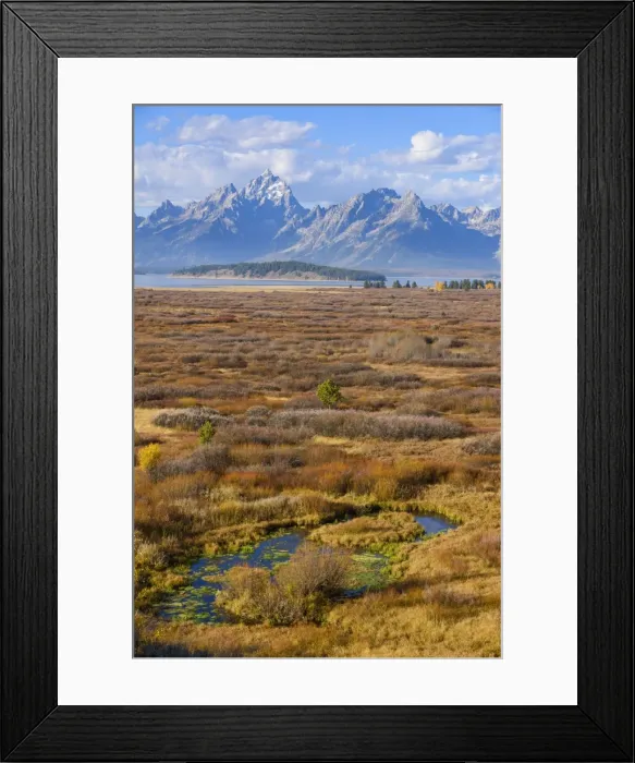 Framed Print : Willow Flats and Teton Range, Grand Tetons National Park, Wyoming, United States of America Framed Print : Willow Flats and Teton Range, Grand Tetons National Park, Wyoming, United States of America