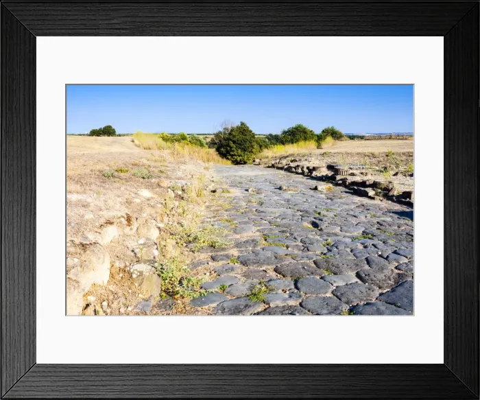 Framed Print : Decumanus maximus, Roman road, Naturalistic Archaeological Park of Vulci, Etruscan city Framed Print : Decumanus maximus, Roman road, Naturalistic Archaeological Park of Vulci, Etruscan city