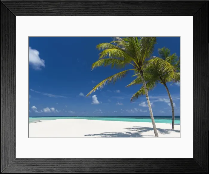 Framed Print : Palm trees and tropical beach, Maldives, Indian Ocean, Asia Framed Print : Palm trees and tropical beach, Maldives, Indian Ocean, Asia