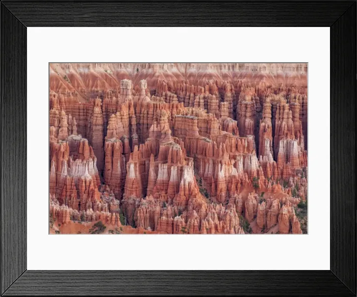 Framed Print : Bryce Canyon National Park Utah, United States of America, North America Framed Print : Bryce Canyon National Park Utah, United States of America, North America