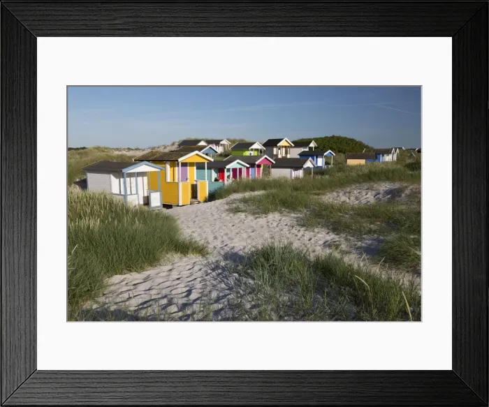 Framed Print : Colourful beach huts in sand dunes, Skanor Falsterbo, Falsterbo Peninsula, Skane Framed Print : Colourful beach huts in sand dunes, Skanor Falsterbo, Falsterbo Peninsula, Skane