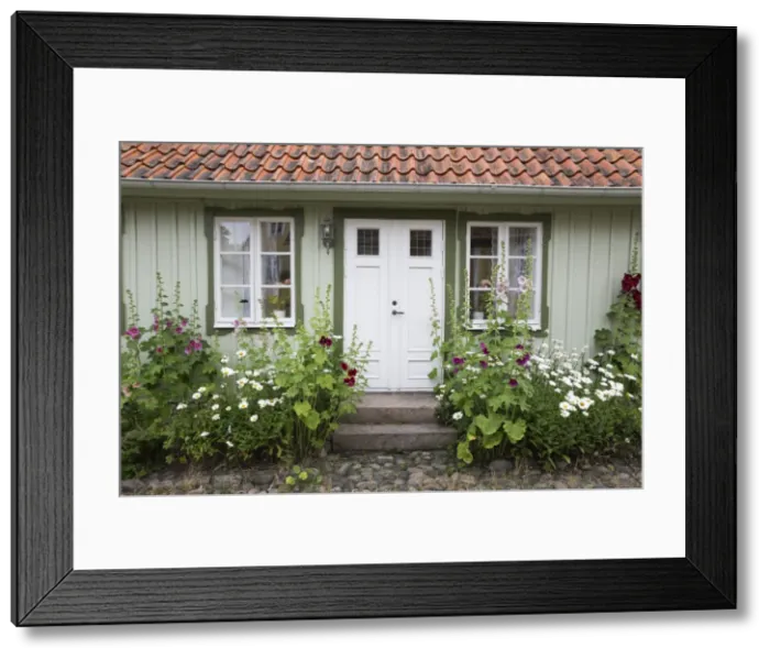 Framed Print : Typical Swedish cottage facade with hollyhocks, Arild, Kulla Peninsula, Skane, South Sweden Framed Print : Typical Swedish cottage facade with hollyhocks, Arild, Kulla Peninsula, Skane, South Sweden
