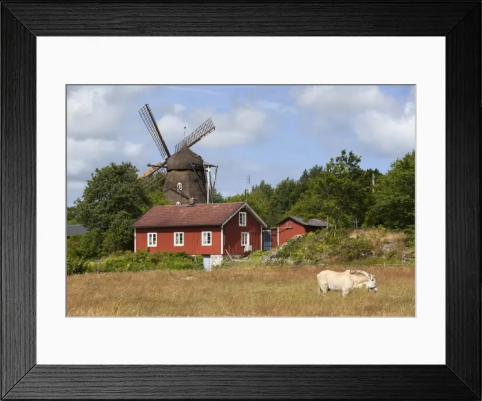 Framed Print : Sunvara Kvarn windmill, Sunvara, near Varobacka, Halland, Southwest Sweden, Sweden Framed Print : Sunvara Kvarn windmill, Sunvara, near Varobacka, Halland, Southwest Sweden, Sweden