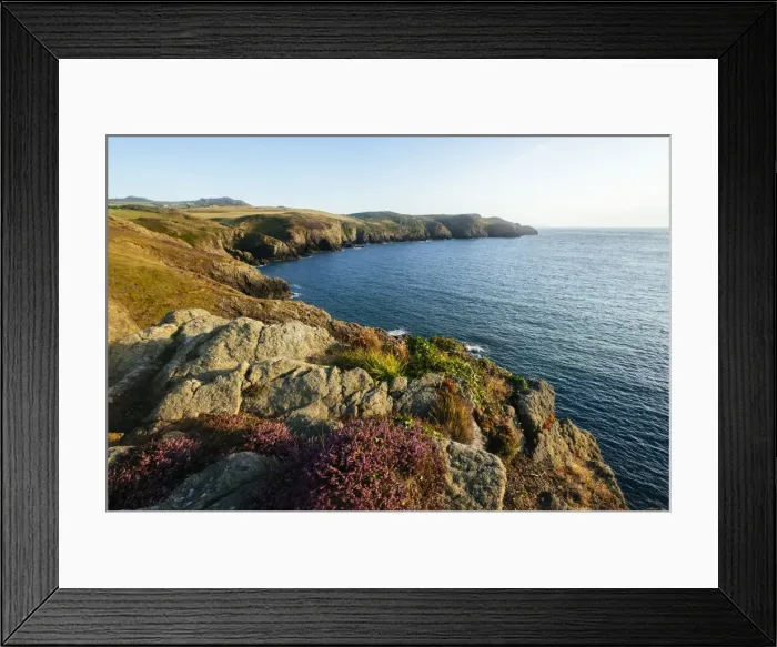 Framed Print : Strumble Head, Pembrokeshire Coast National Park, Wales, United Kingdom, Europe Framed Print : Strumble Head, Pembrokeshire Coast National Park, Wales, United Kingdom, Europe