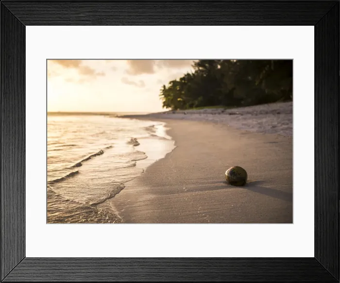 Framed Print : Coconut on a tropical beach at sunset, Rarotonga Island, Cook Islands, South Pacific Framed Print : Coconut on a tropical beach at sunset, Rarotonga Island, Cook Islands, South Pacific