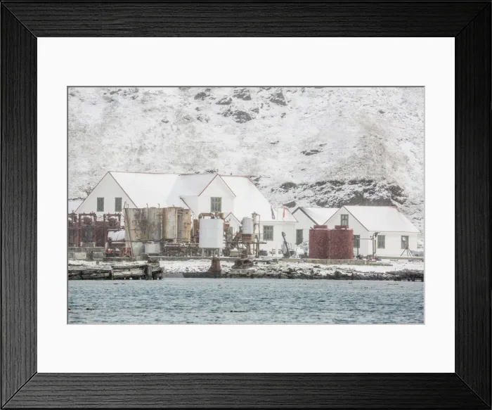Framed Print : British Antarctic Survey Research Station at King Edward Point, South Georgia, UK Framed Print : British Antarctic Survey Research Station at King Edward Point, South Georgia, UK