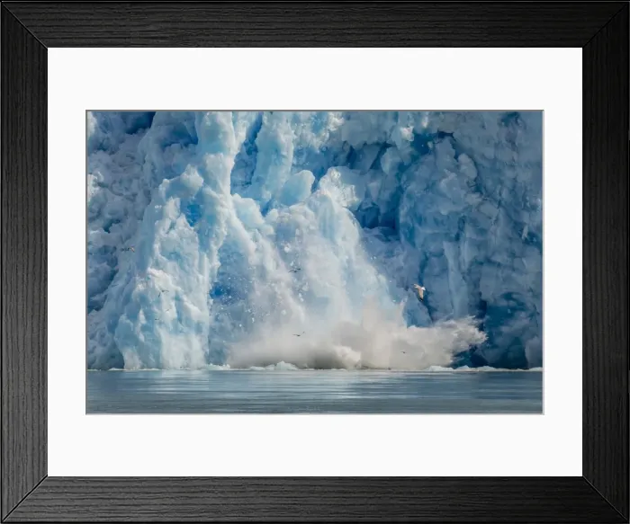 Framed Print : Calved icebergs from the South Sawyer Glacier in Tracy Arm-Fords Terror Wilderness Framed Print : Calved icebergs from the South Sawyer Glacier in Tracy Arm-Fords Terror Wilderness