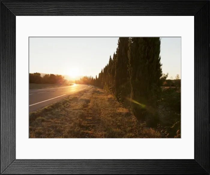 Framed Print : Alley of cypresses along a road at sunset, Gordes, Provence, Provence-Alpes-Cote d Azur Framed Print : Alley of cypresses along a road at sunset, Gordes, Provence, Provence-Alpes-Cote d Azur